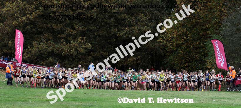 Girls under-15s National Cross Country Relays. Photo: David T. Hewitson/Sports for All Pics
